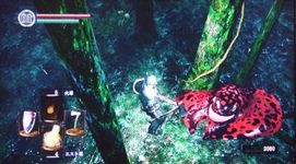 photo d'illustration pour le dossier:Dark  Souls